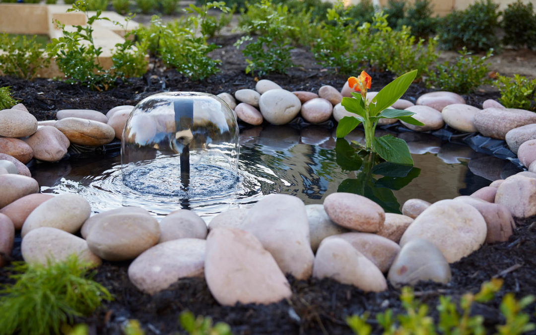 Beautiful Backyard Pond Ideas for All Budgets