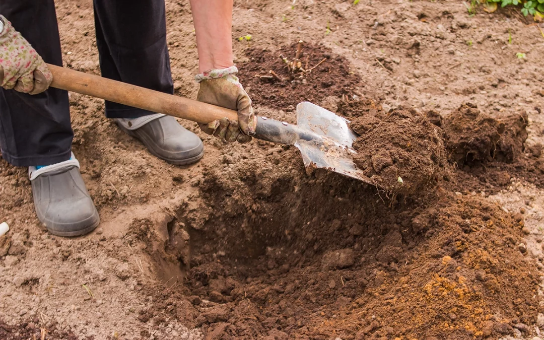 How To Build A Small Backyard Pond