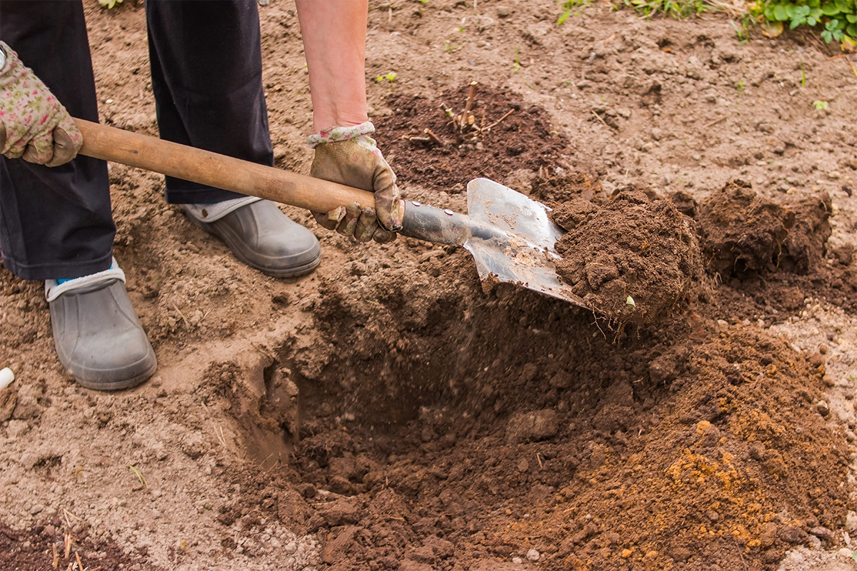 How To Build A Small Backyard Pond